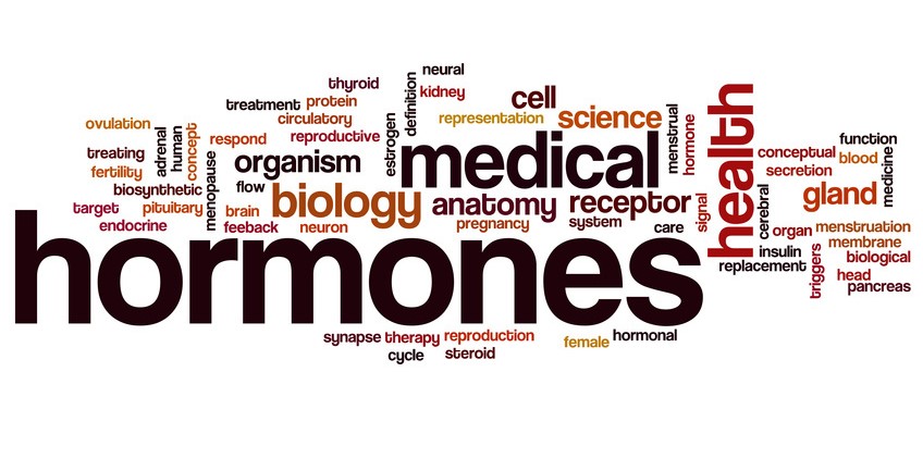 Hormones word cloud concept