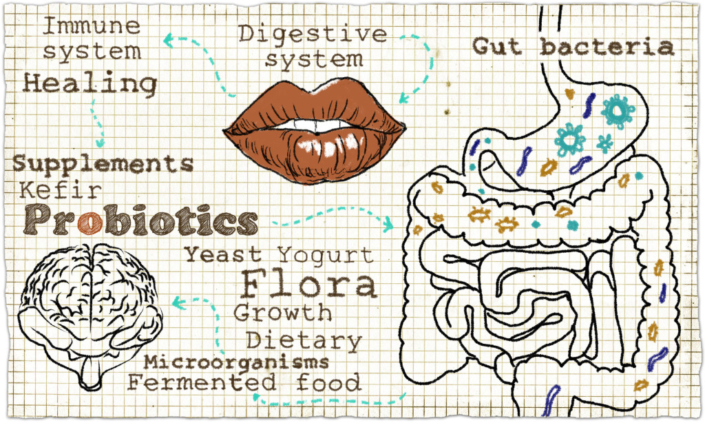 Illustration about Probiotics