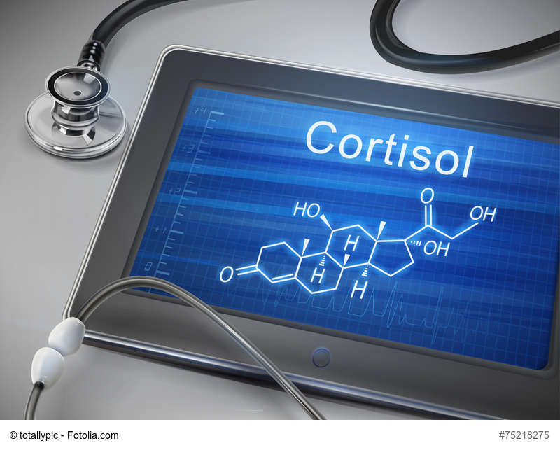 cortisol word display on tablet over table